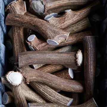 Whole Bulk Elk Antler by weight (oz)