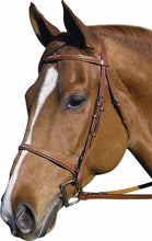 JPC Equestrian - Henri de Rivel Pro Fancy Raised Bridle With Laced Reins