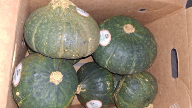 Squash Kabocha Old Florida Farm - Great for Soups