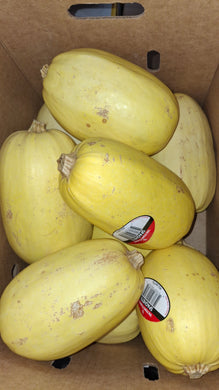 Squash Spaghetti Old Florida Farm