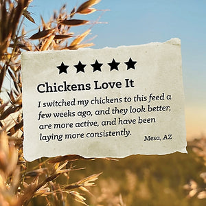 NatureWise Layer Pellet 17%  Chicken Feed Various Sizes