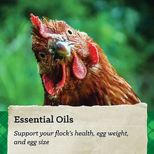 Nutrena NatureWise Feather Fixer Chicken Feed 40lb