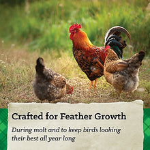 Nutrena NatureWise Feather Fixer Chicken Feed 40lb