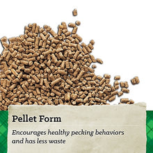 Nutrena NatureWise Feather Fixer Chicken Feed 40lb