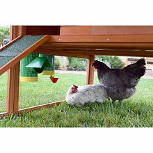 Rugged Ranch High End 2 Gal Chicken Poultry Waterer