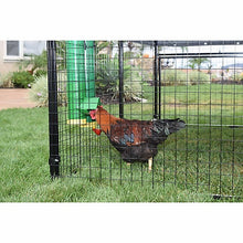 Rugged Ranch High End 2 Gal Chicken Poultry Waterer