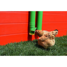 Rugged Ranch High End 2 Gal Chicken Poultry Waterer