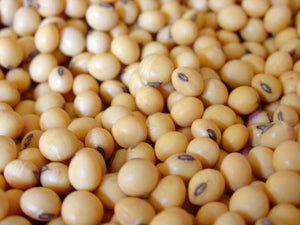 Soybean 50lb