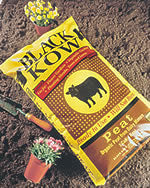 Black Kow Peat