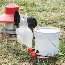 Poultry Bowl Drinker red/black or Yellow/blue gravity auto fill PKG 3