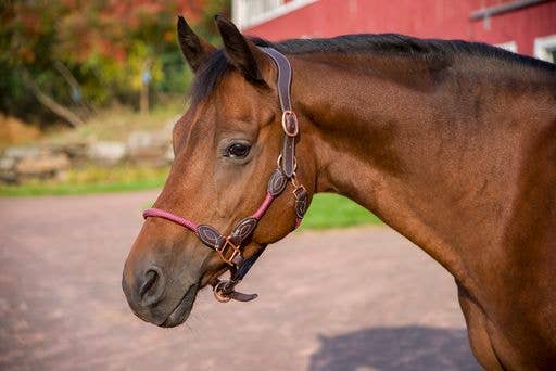 JPC Equestrian - Henri de Rivel Leather Rope Halter