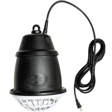 Heat Lamp without bulb