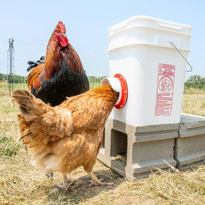 DIY Elbow Chicken Feeder Kit incl 2 ports & Hole Saw