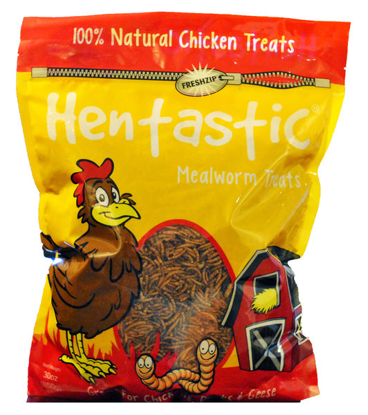 Hentastic Mealworms Treats 30 oz Zip Lock Bag