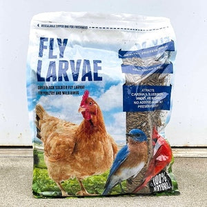 Black Soldier FLy Larvae - 5 lb Bag