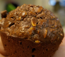 ZooRubeins Gourmet Horse Treats with Chia Seed
