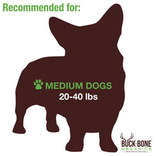 Buck Bone Organics - 1 Lb. Bag - Elk Antler Dog Chews