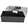 Rugged Ranch 2-Pack Ratinator Indoor or Outdoor Multi-Catch Rat Trap - Humane Live Cage Catcher, Rodent Control for Homes, Barns, Attics, Garages, Sheds, Gardens and Farms