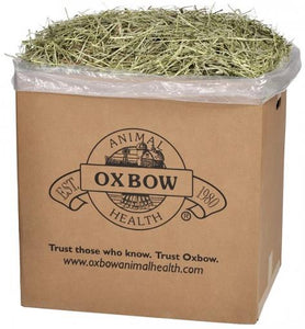 Oxbow Orchard Grass **REWARDS BUY 6 GET 1 FREE**