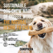 CANOPHERA LLC - Dog Chew Stick Made of Coffee Wood Various Sizes