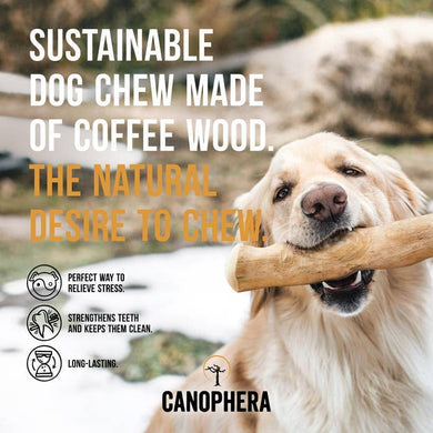 CANOPHERA LLC - Dog Chew Stick Made of Coffee Wood Various Sizes