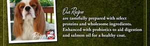 Fromm Classic Adult Dog Food - Premium Dry Dog Food for Large, Medium, & Small Breeds - Chicken Recipe