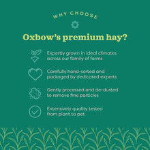 Western Oxbow Timothy Hay Various Sizes  REWARDS PROGRAM BUY 6 GET 1 FREE