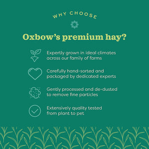 Western Oxbow Timothy Hay Various Sizes  REWARDS PROGRAM BUY 6 GET 1 FREE