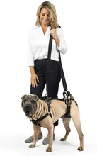 PetSafe CareLift Support Harness