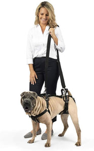 PetSafe CareLift Support Harness