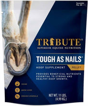 Tribute Tough As Nails 11lbs Pelleted Hoof Supplement