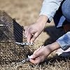 Rugged Ranch 2-Pack Ratinator Indoor or Outdoor Multi-Catch Rat Trap - Humane Live Cage Catcher, Rodent Control for Homes, Barns, Attics, Garages, Sheds, Gardens and Farms