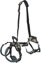 PetSafe CareLift Support Harness