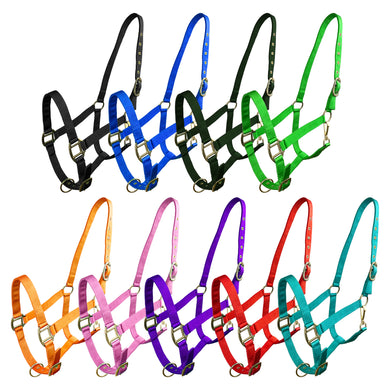 Horse Size Triple Nylon Halter with Brass Hardware