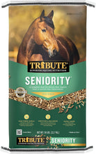 Tribute Seniority Textured