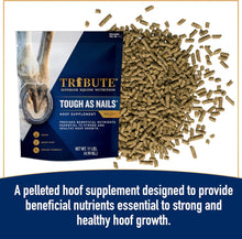 Tribute Tough As Nails 11lbs Pelleted Hoof Supplement