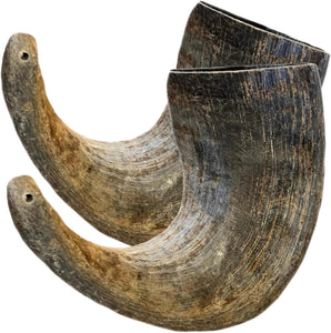 Rozie's Water Buffalo Horns
