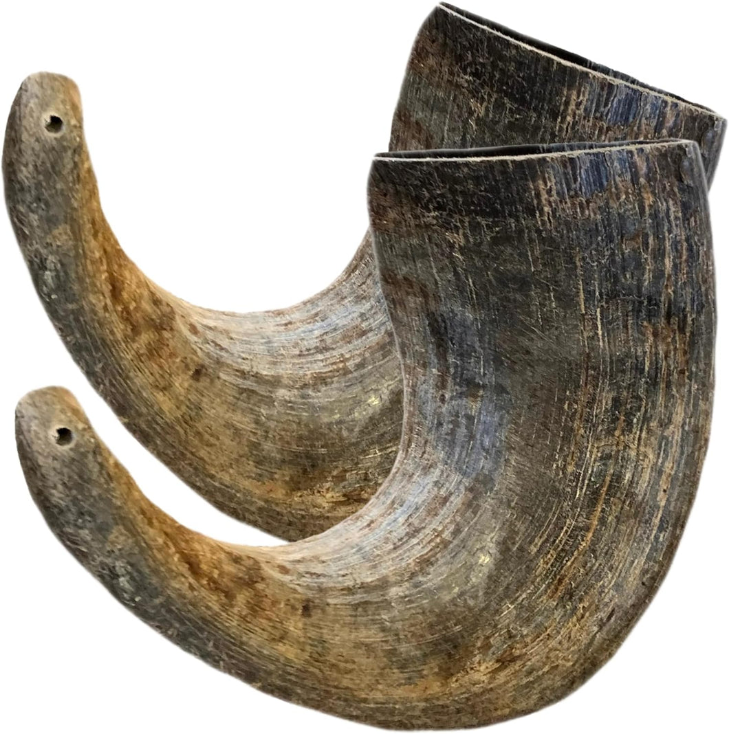 Rozie's Water Buffalo Horns
