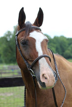 JPC Equestrian - Henri de Rivel Pro Fancy Raised Bridle With Laced Reins