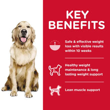 Hills Science Diet Adult Perfect Weight Dog Food, Chicken Recipe, Dry, 12 lb,