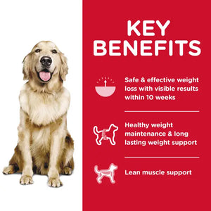 Hills Science Diet Adult Perfect Weight Dog Food, Chicken Recipe, Dry, 12 lb,