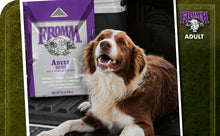 Fromm Classic Adult Dog Food - Premium Dry Dog Food for Large, Medium, & Small Breeds - Chicken Recipe