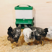 Mountable Chicken Waterfowl Feeder Gray 20lb
