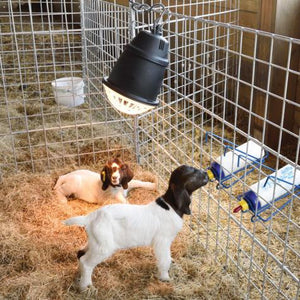 Heat Lamp without bulb