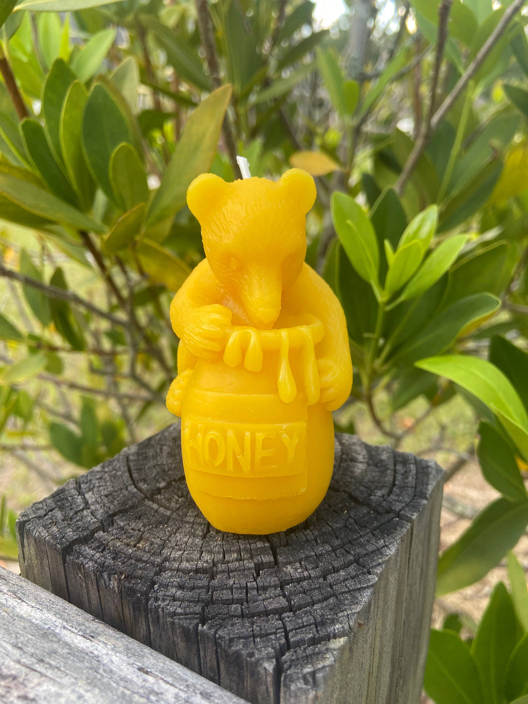 Thy Will Bee Done Apiary - Beeswax Candle, Beeswax Bear and Honey Pot Candle, Pooh Bear