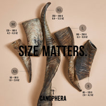 Canophera Sheep Horn Dog Chew Various Sizes