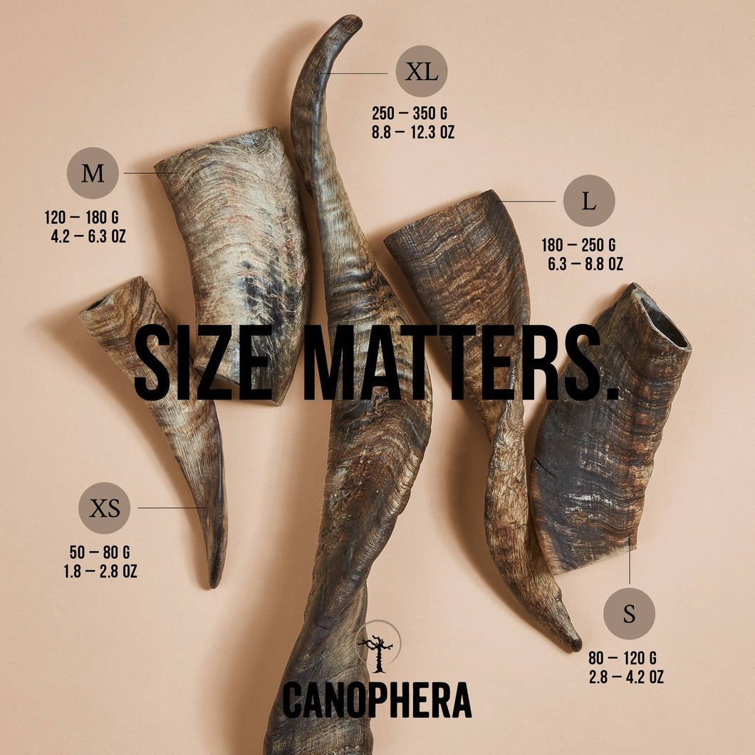 Canophera Sheep Horn Dog Chew Various Sizes