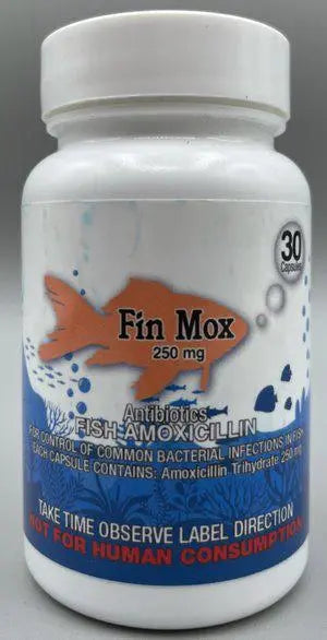 Fish Mox  250 mg