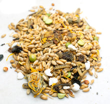 Lucky Chicken Protein Treat w/ Bloomgrubs