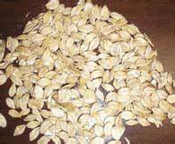 Kalmbach Steamed Rolled Barley 50 lb